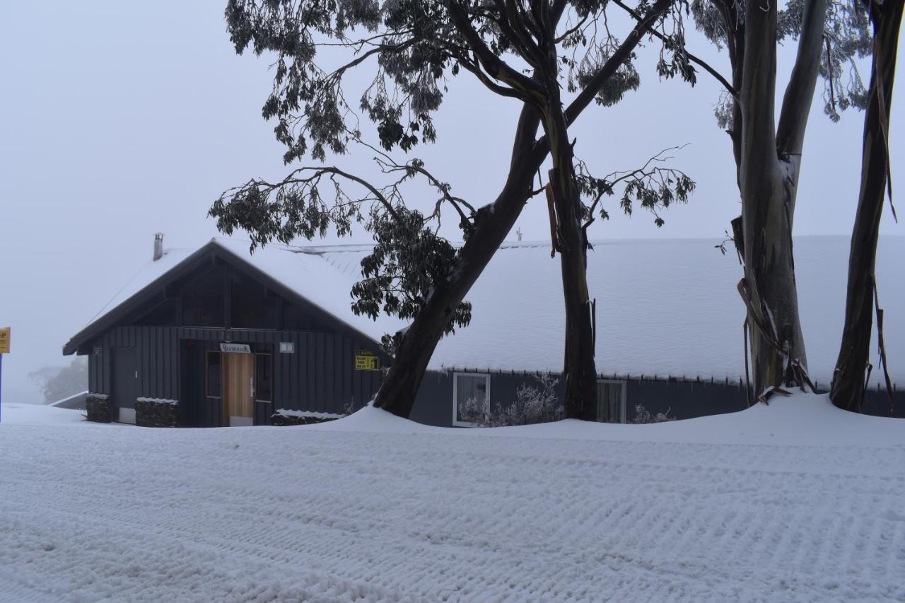 פאלס קריק Cooroona Alpine Lodge מראה חיצוני תמונה